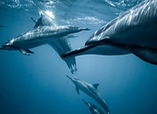 世界杯直播下载-亚亚-图雷入驻小红书：在这里，我想和你们分享的不只是足球