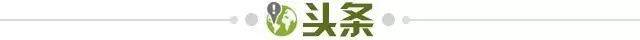 59b7c4c5-3fb4-4036-860d-a6a2e4bfe243.jpg@!img01
